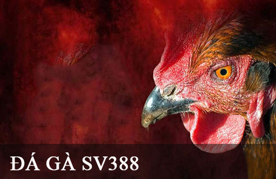 Quảng bá trò chơi Fb88 - Fb88
