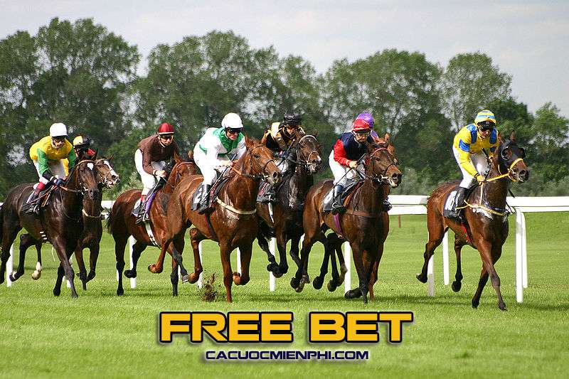 Tôi cần biết gì khi đặt cược vào các sự kiện cấp độ Bigbet88? - Bigbet88