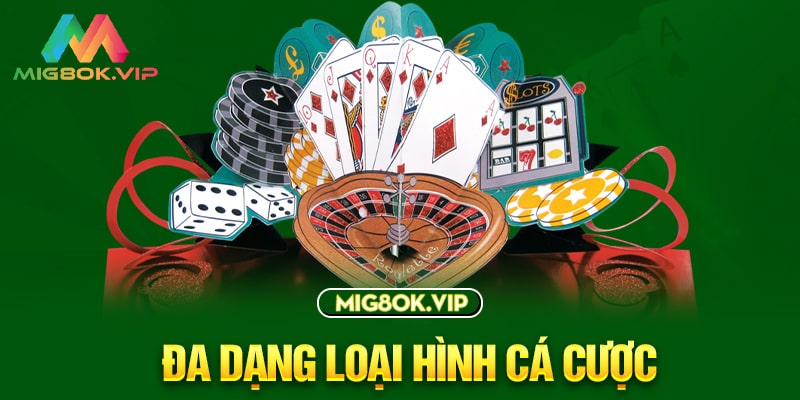 Hãy liên hệ với 365Vn để được phục vụ chuyên nghiệp và chu đáo - 365Vn