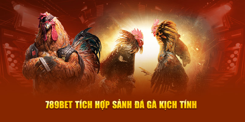 789Win - Chơi game và giành giải thưởng lớn! - 789Win
