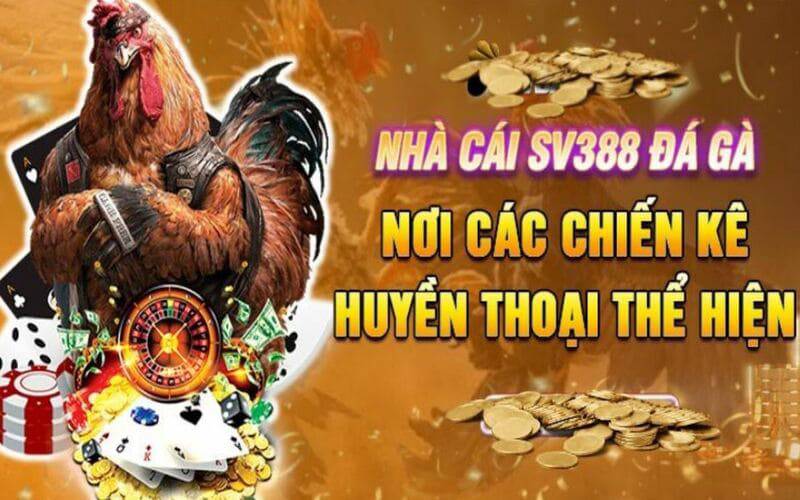 Các trò chơi được cung cấp bởi nền tảng K9win - K9win