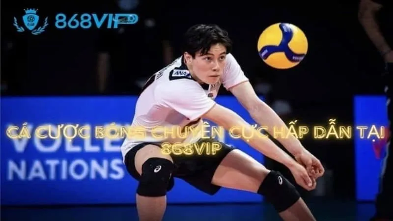 Các trò chơi phổ biến nhất ở cấp độ Qqvn - Qqvn
