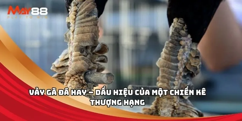 Công ty game được xếp hạng Dd7 - Dd7
