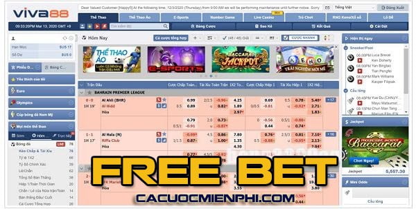 Abcvip cung cấp những dịch vụ độc đáo nào? - Abcvip