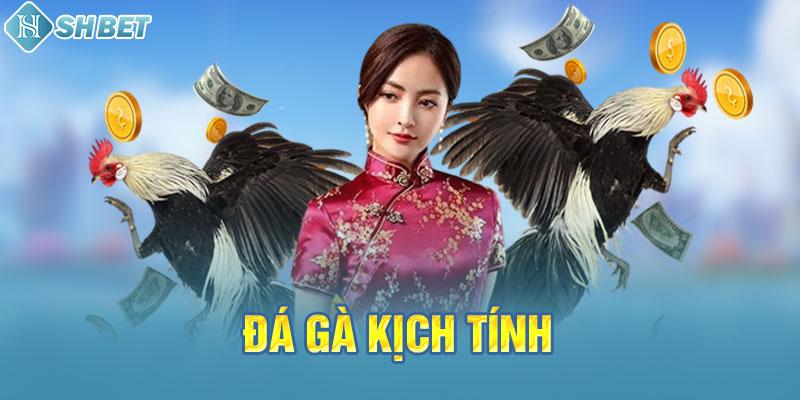Một số thông tin về nguồn gốc của trò chơi Vin77 Plus - Vin77