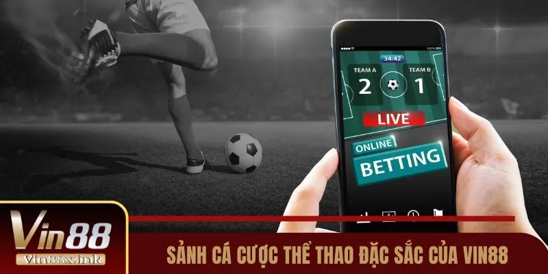Đạt được cấp độ Sbty cho phép bạn tham gia các cuộc thi ở mọi lĩnh vực - Sbty