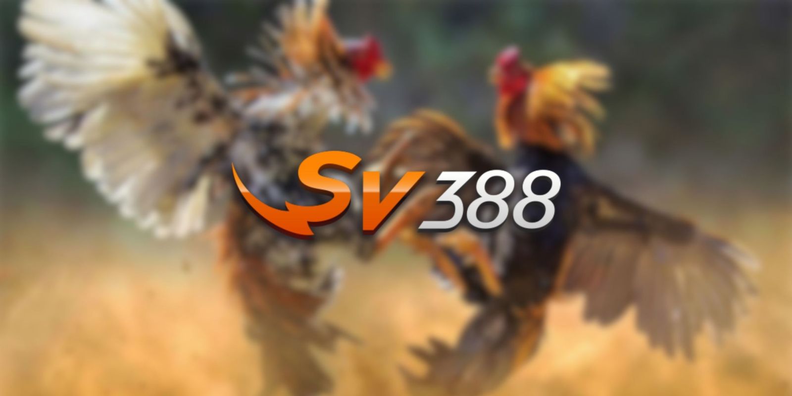 Công cụ hack game G168 - G168