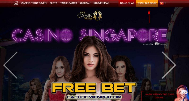 Giới thiệu thông tin cơ bản về trang web game Loto288 - Loto288