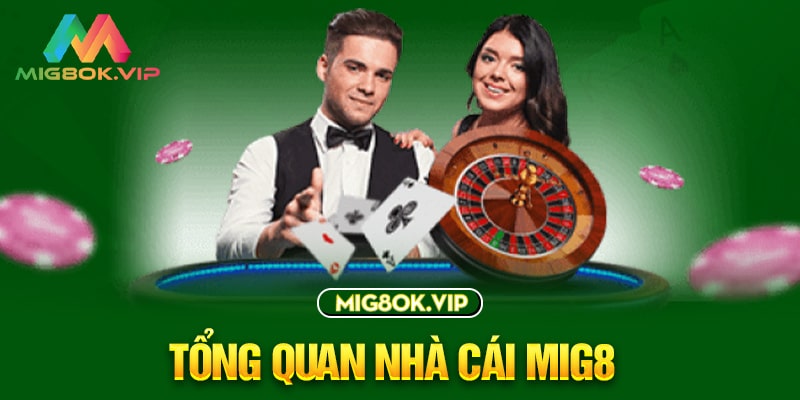 Kiểm soát và tùy chỉnh Gowin toàn diện - Gowin