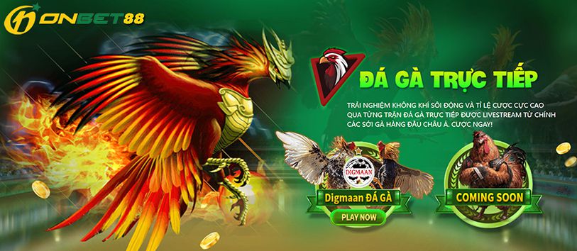 Va88 Net cung cấp nhiều trò chơi có thưởng đáng tin cậy - Va88