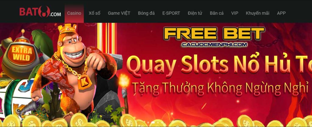 Khảo sát về các trò chơi bài cung cấp mã Manbetx - Manbetx